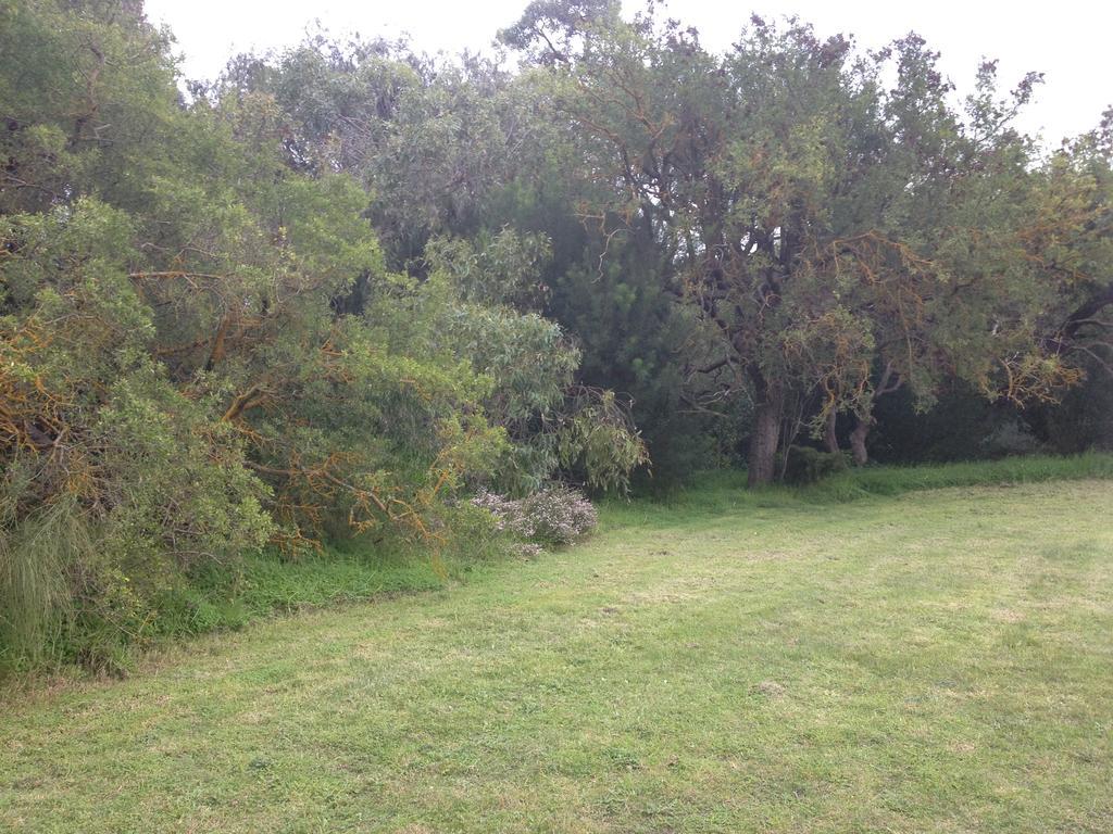 Millicent Lakeside Caravan Park Hotel Exterior foto