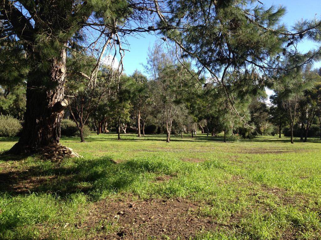 Millicent Lakeside Caravan Park Hotel Exterior foto